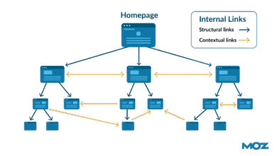 Internal Link Audit: Decode Structure for SEO Impact
