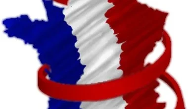 Best SEO Audit Agency in France: A U.S. Buyer’s Guide 31 Best SEO Audit Agency in France: A U.S. Buyer’s Guide