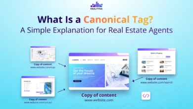 Indexing Insurance: Canonical Tag Checker to Stop Dupes 33 Indexing Insurance: Canonical Tag Checker to Stop Dupes