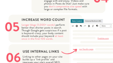 On-Page SEO Best Practices: Expert vs Plugin Users