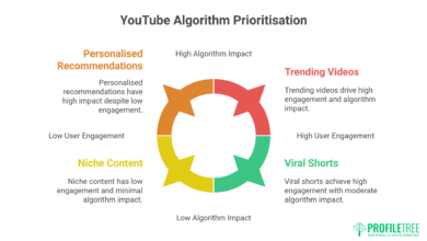 How to Beat the YouTube Algorithm: Data-Driven Toolkit
